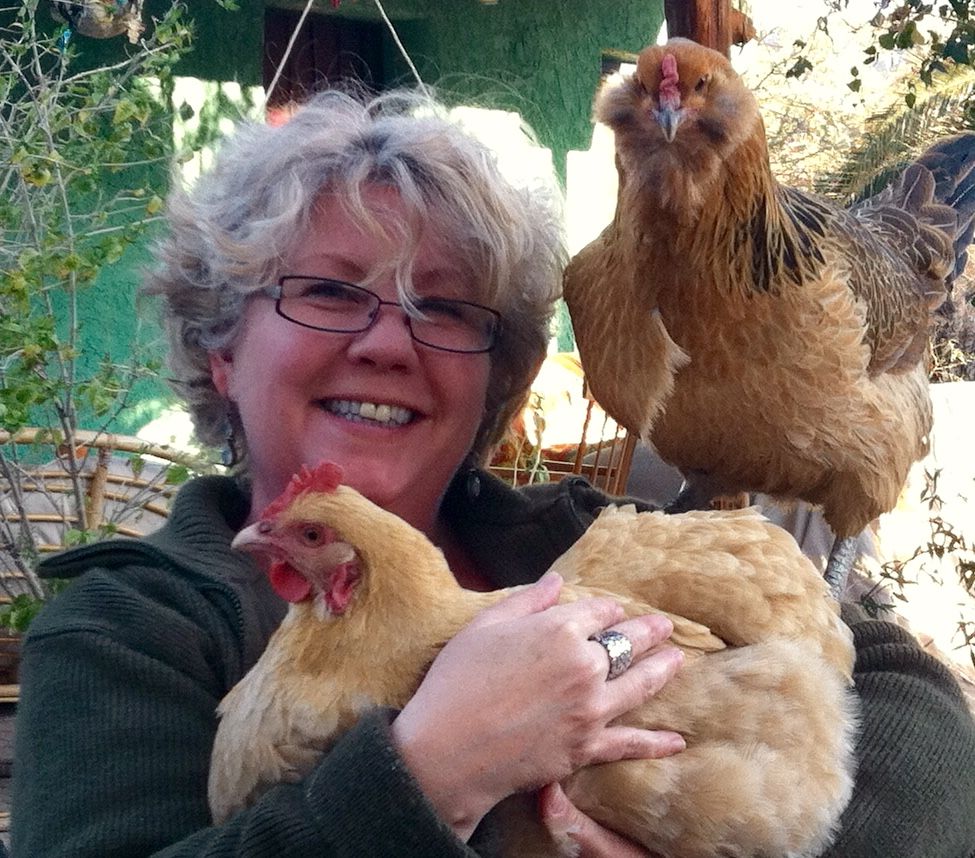 Readers show their chickens